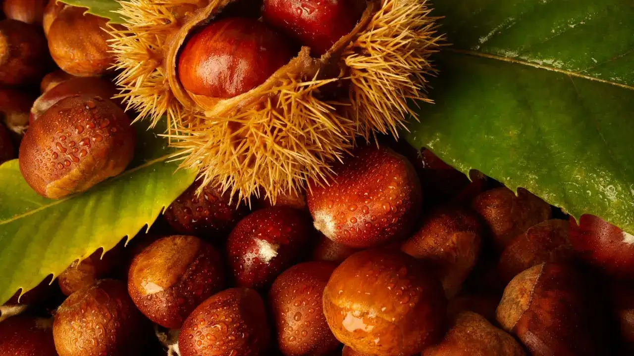 Ocak Ayında Hangi Meyveler Yenir? 10